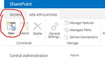 Create-a-New-Web-Application.jpg