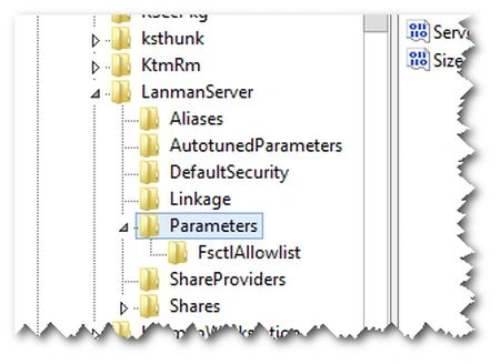 Registry-Editor-parameter.jpg