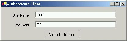 AuthWSClient4.jpg