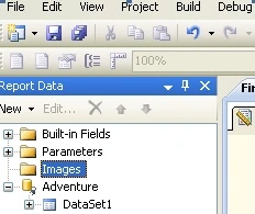 Reportdata