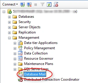 SQL Server Management Studio