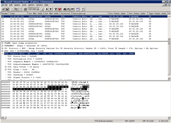 NetMon5.gif