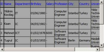 Datagrid1.jpg