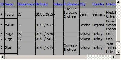 Datagrid6.jpg