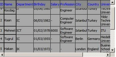 Datagrid7.jpg